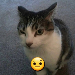 Revenge [Prod By JumpChambers]