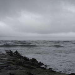 🌊𝘧𝘳𝘦𝘦𝘥𝘰𝘮 𝘰𝘧 𝘵𝘩𝘦 𝘴𝘦𝘢 🌊 [@ih8u11]