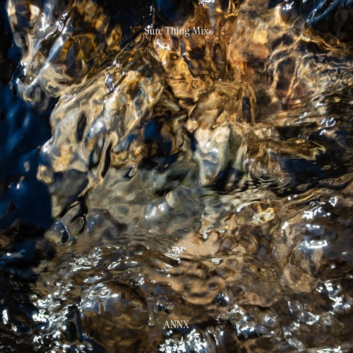 Sure Thing Mix 141: ANNX