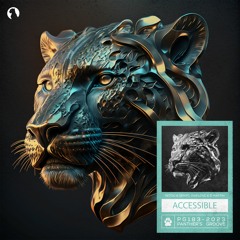 Setou & Senyo, Saif Love & B Martin- Accessible (Extended Mix)