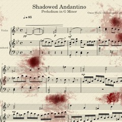 Shadowed Andantino 2024