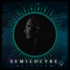 Semilocybe - Mycelium