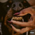 Artwork for Mutt - Leon Thomas x Chris Brown - Afrobeat (DJ RayDenz Edit) Filter for copyright