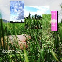 Bloomtronica volume 1 [one hour of warm fuzzy Y2K ambient trance]
