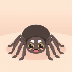 In Some Form Of Solitude Like An Unloved Spider