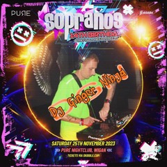 DGN  Sopranos 14th Bithday Promo