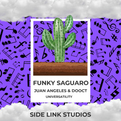 Funky Saguaro Produced by Side Link Studios