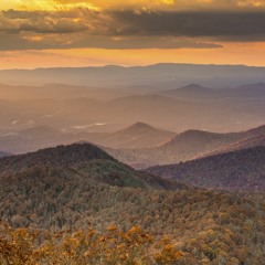 Appalachian trails - Combstead / Robert Grigg