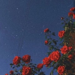 COLOR WAVE FT FOREST BAGS (Prod. TapeHook)