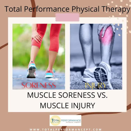 Listen to music albums featuring What Is The Difference Between Muscle