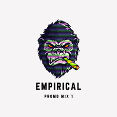 Empirical Promo Mix 1