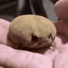 UnfinishedDanceSynth.project