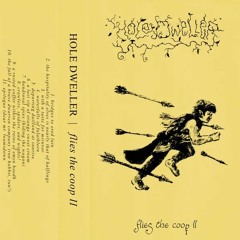 Hole Dweller - Flies The Coop II (2020)
