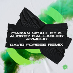 Armour (David Forbes Extended Remix)