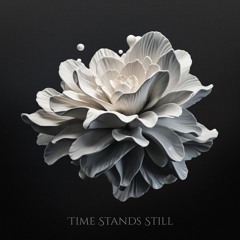 Time Stands Still (with TaigaSoundProd)
