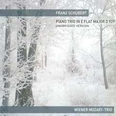 Piano Trio D 929: Allegro