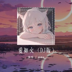陈栋钰 - 爱如火 (DJ版)「心在跳是爱情如烈火 你在笑疯狂的人是我」【動態歌詞/pīn yīn gē cí】#陈栋钰 #爱如火 #動態歌詞