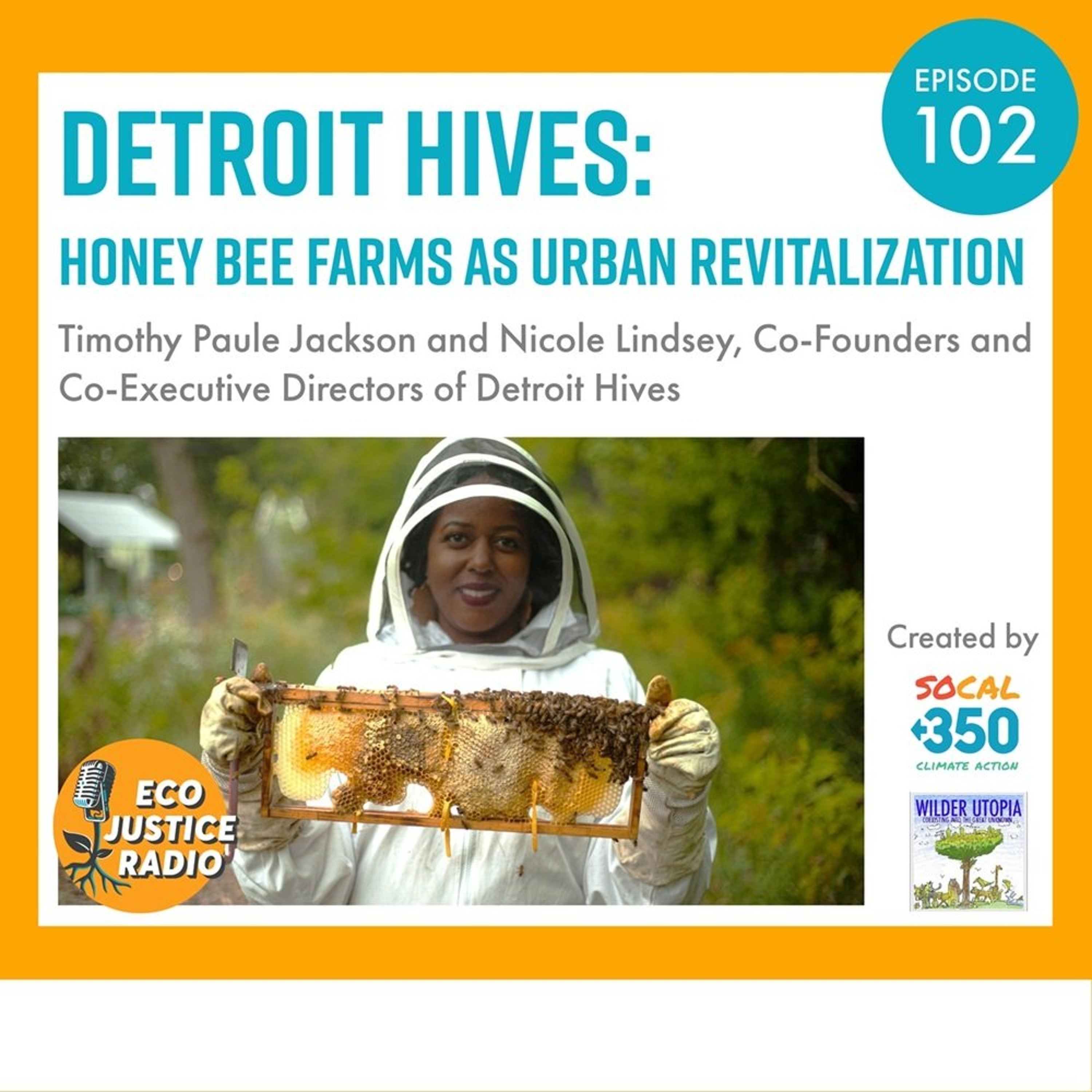Detroit Hives: Honey Bee Farms as Urban Revitalization episode artwork