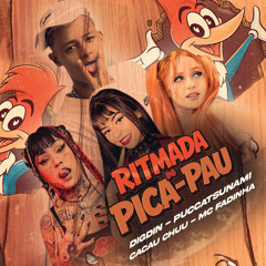 RITMADA DO PICA PAU