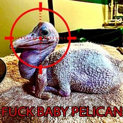 BABY PELICAN 2 (BRUHMANEGOD x LIL DARKIE) (FUCK BABY PELICAN) (baby pelican diss) (PROD. BRAHMAN)