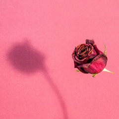 the rose (mallcore edit)