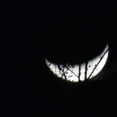 There S A Cat In The Fucking Moon (unmastered)