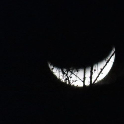 There S A Cat In The Fucking Moon (unmastered)