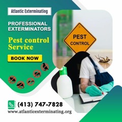 Best Pest Management Company