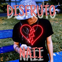 Disfruto Cover