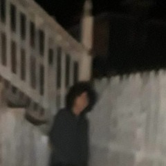 Sophiaaaahjkl;8901 - Surface-Bound Acmaeodera Polycestinae _Eat Nightshade