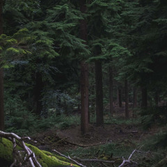 Fallen Down Guitar Cover - Josiah Everhart