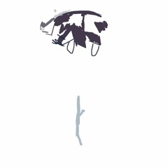 mud