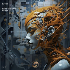 DJ Taco - Mandala [Celestial Records]