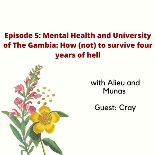Stream Episode 5: Mental Health and University of The Gambia: How (not