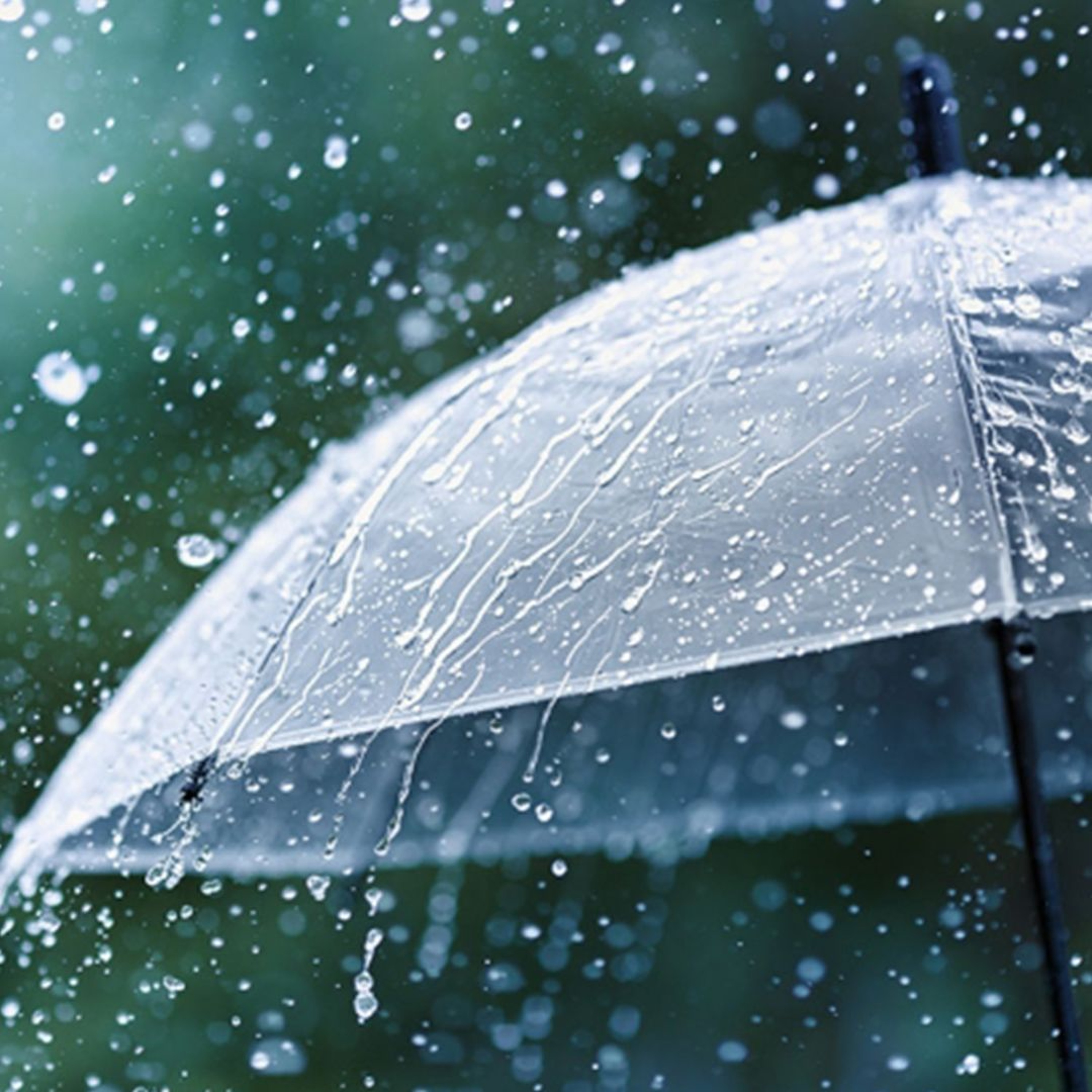 Une veille de fortes pluies est en vigueur