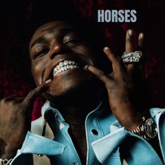 Kodak Black x Gucci Mane x Pooh Shiesty type beat - Horses (Prod. Pl4co x Rodag x Zman)