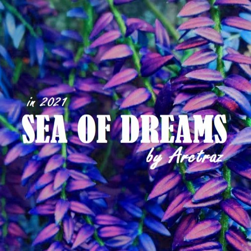 Sea Of Dreams