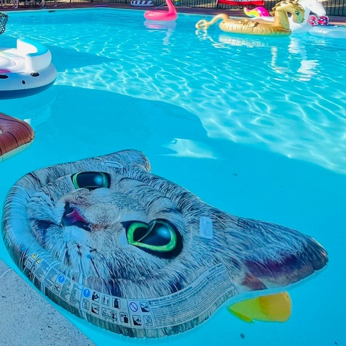 Live at the Pool 4th of July '23