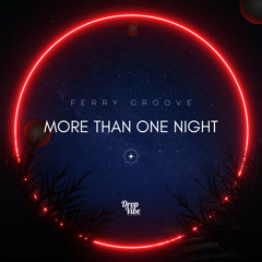 DROPVIBE010: Ferry Groove - More Than One Night