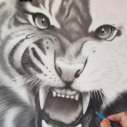 Sweet Lin Chung/Savage Project