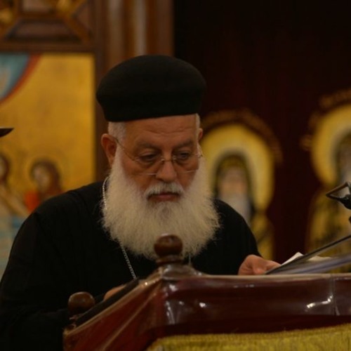 هل انا مثمر؟القمص اغسطينوس موريس27-11-2022