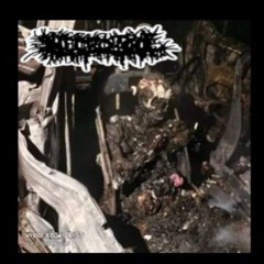 whats your problem - in your face