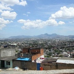 MC PQD - OS PITBULL DA BAIXADA [ COMPLEXO DA BAIXADA ] [ DJ ELVIS DO JESUÍTAS ]