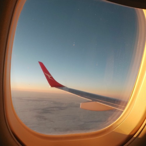 La Vie Dansante💃🏾