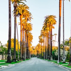 Freitag & Malik44 - Sommer im Block