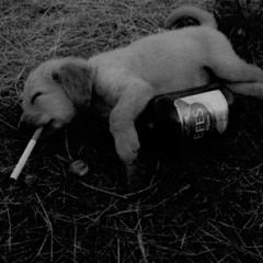 WYŻEJ I WYŻEJ ##DIFRENT