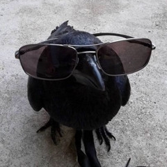 Cool Crow