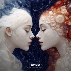 Mind Fusion Vol. 12