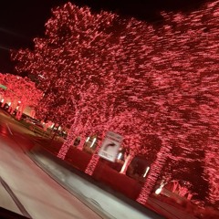 My last resort (prod. Boyfifty x Daniel Saint)