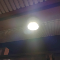 Under the Streetlight